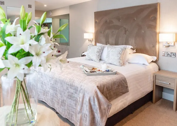Hotel Gleesons Townhouse Booterstown Dublín